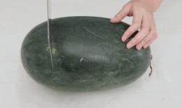 吃瓜不挑籽吃瓜群众,揭秘“吃瓜群众”的趣味生活