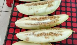 瓜老板带你吃瓜,尽享舌尖上的盛宴