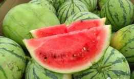 幼恩家吃瓜,共享欢乐滋味