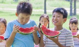 衡水吃瓜,揭秘当地特色美食背后的故事