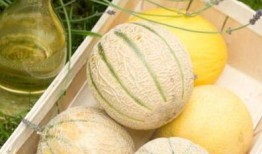 白色的瓜吃馅,清甜滋味，传统美食新演绎