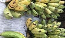 缅甸视频吃瓜qq,揭秘网络社交背后的趣味与争议